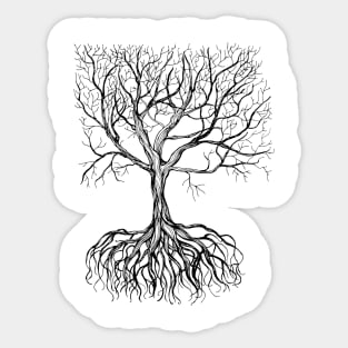 Bare tree with root Sticker